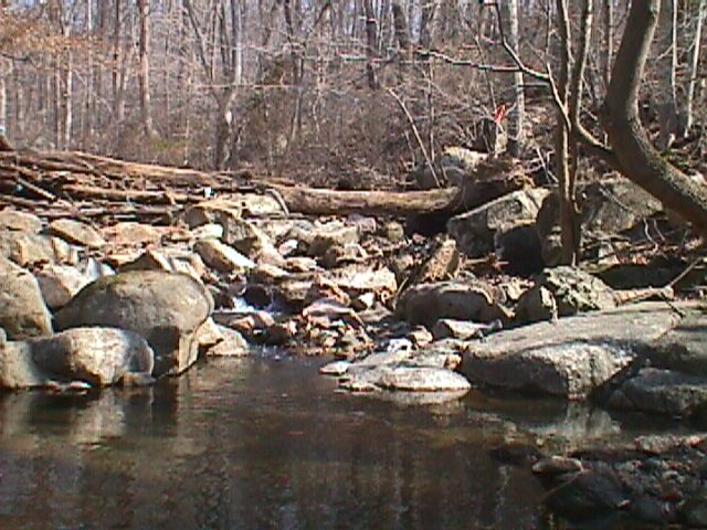 Field photo showing stream conditions at site PATL-127-R-2000-05_05
