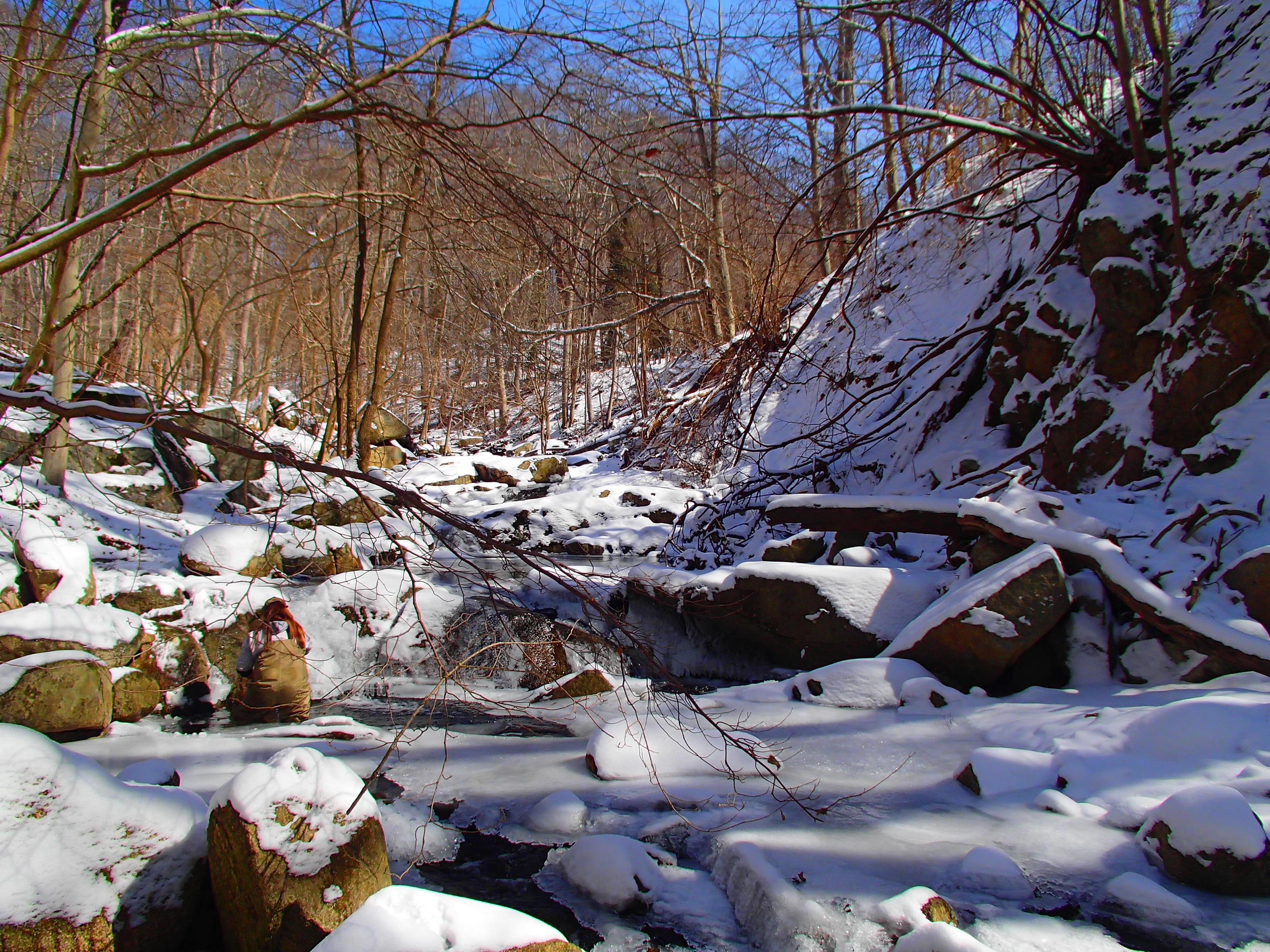 Field photo showing stream conditions at site PATL-127-R-2014-1