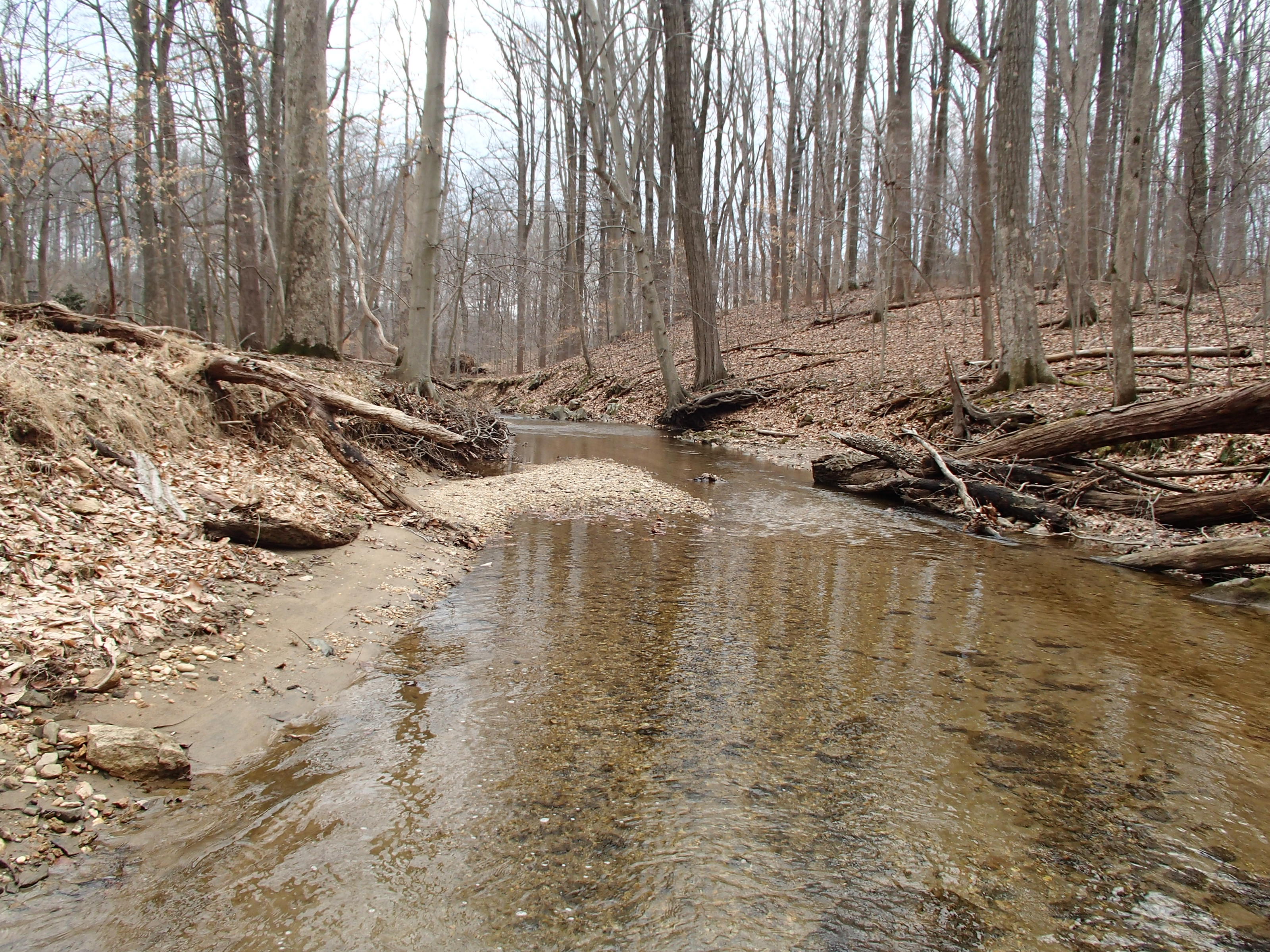 Field photo showing stream conditions at site PATL-202-R-2015_midpoint-looking-downstream