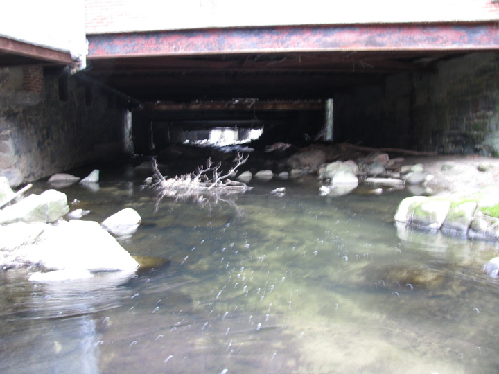 Field photo showing stream conditions at site PATL-205-X-2010-1