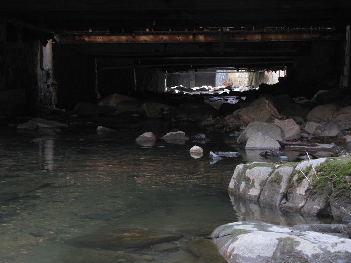 Field photo showing stream conditions at site PATL-205-X-2011-1