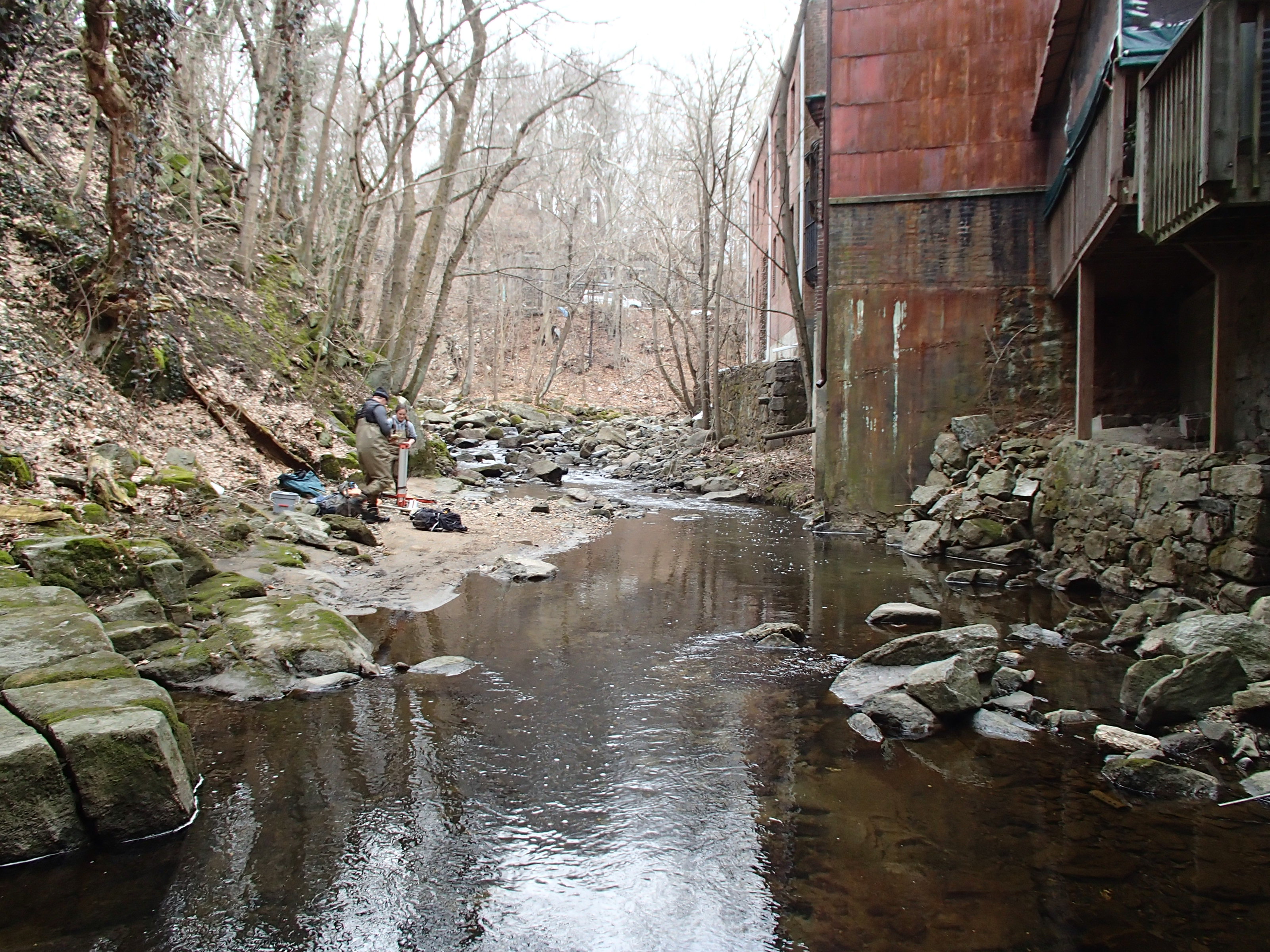 Field photo showing stream conditions at site PATL-205-X-2014-1