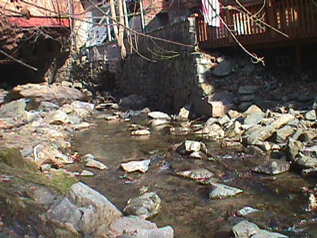 Field photo showing stream conditions at site PATL-207-R-2000-05_01