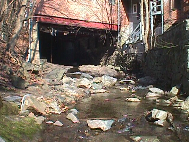 Field photo showing stream conditions at site PATL-207-R-2000-05_02
