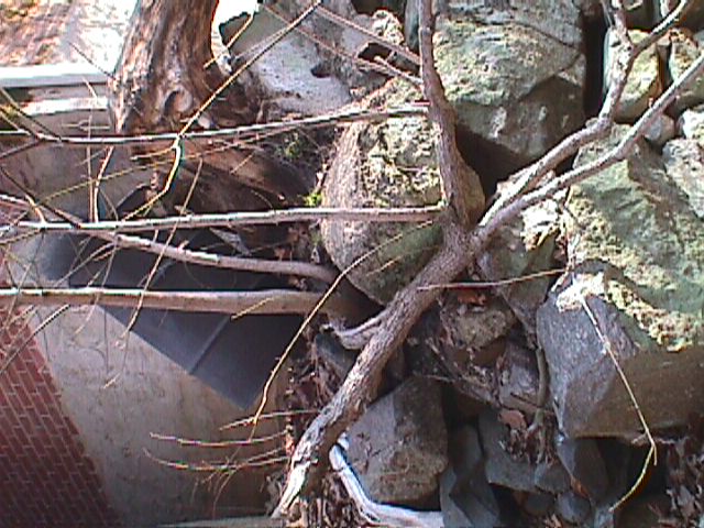 Field photo showing stream conditions at site PATL-207-R-2000-05_03