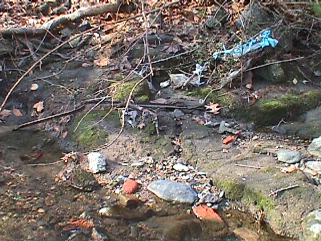 Field photo showing stream conditions at site PATL-207-R-2000-05_04