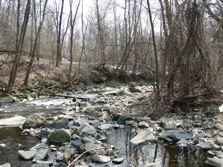 Field photo showing stream conditions at site PATL-209-X-2010-1
