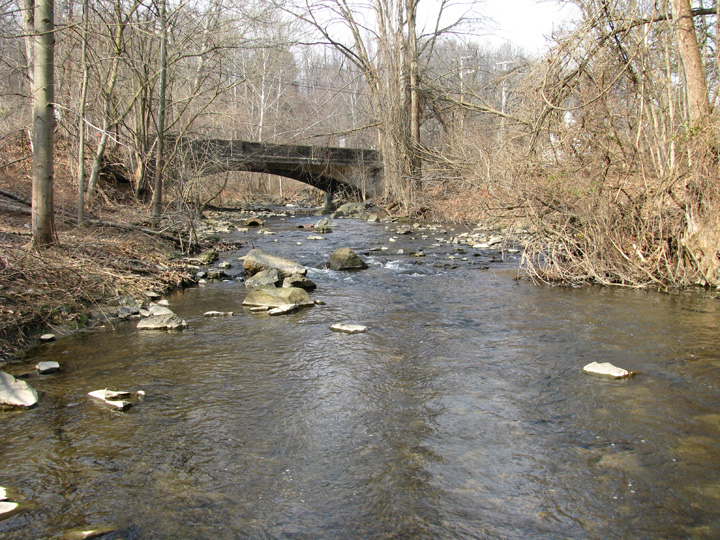 Field photo showing stream conditions at site PATL-209-X-2010-2