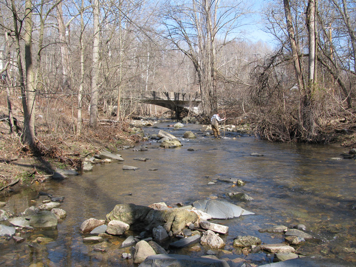 Field photo showing stream conditions at site PATL-209-X-2011-2