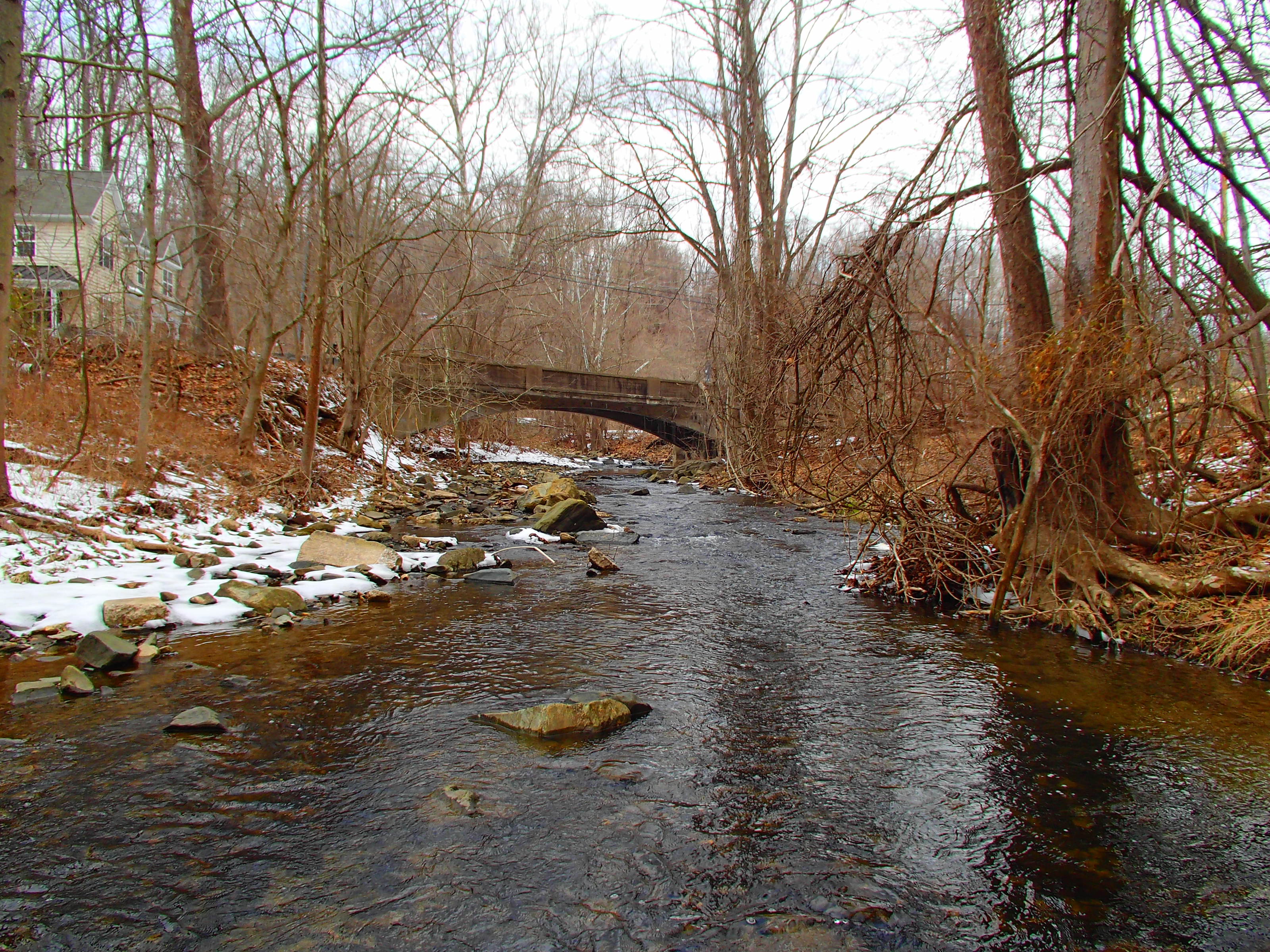 Field photo showing stream conditions at site PATL-209-X-2014-1