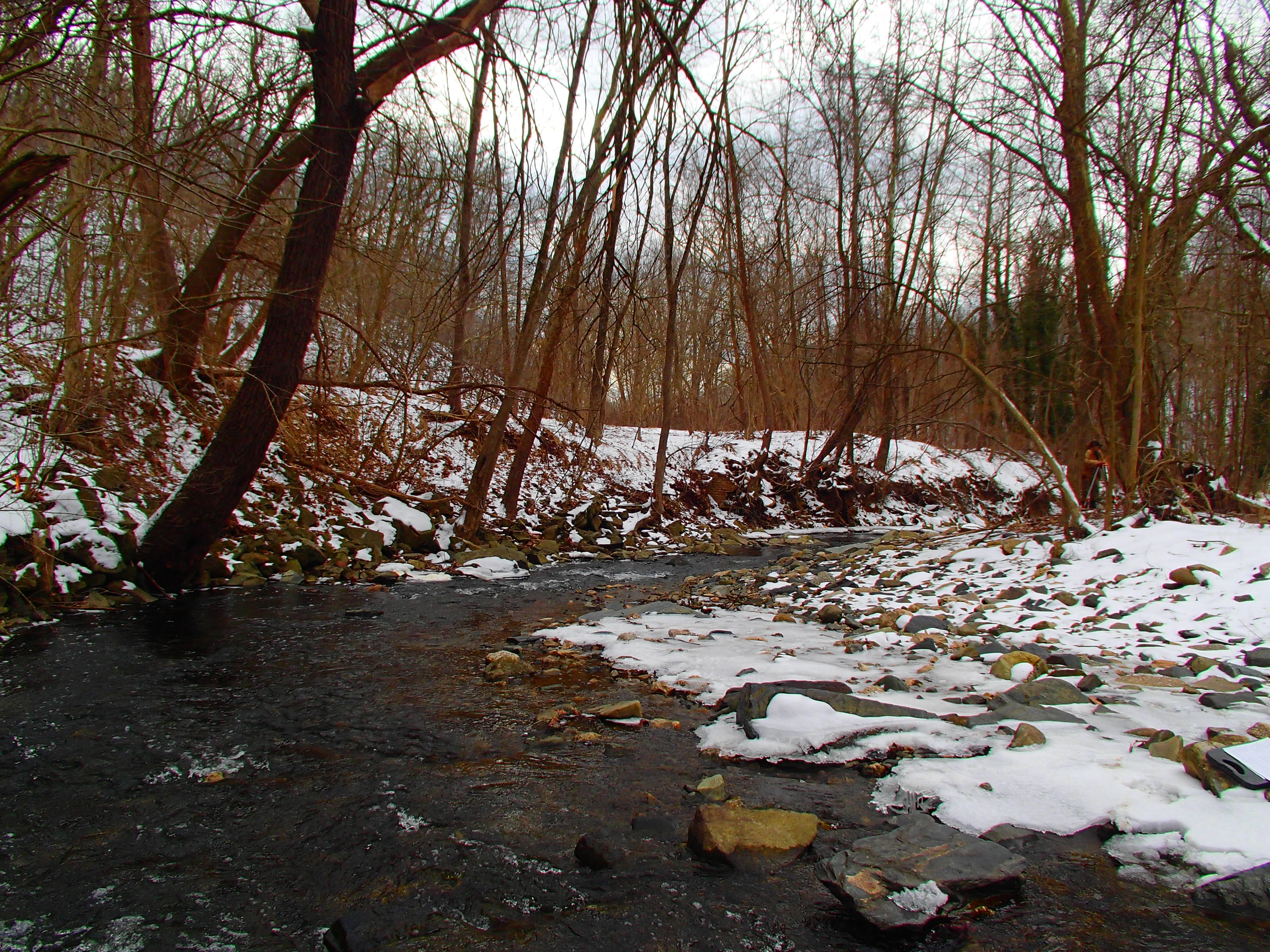 Field photo showing stream conditions at site PATL-209-X-2014-2