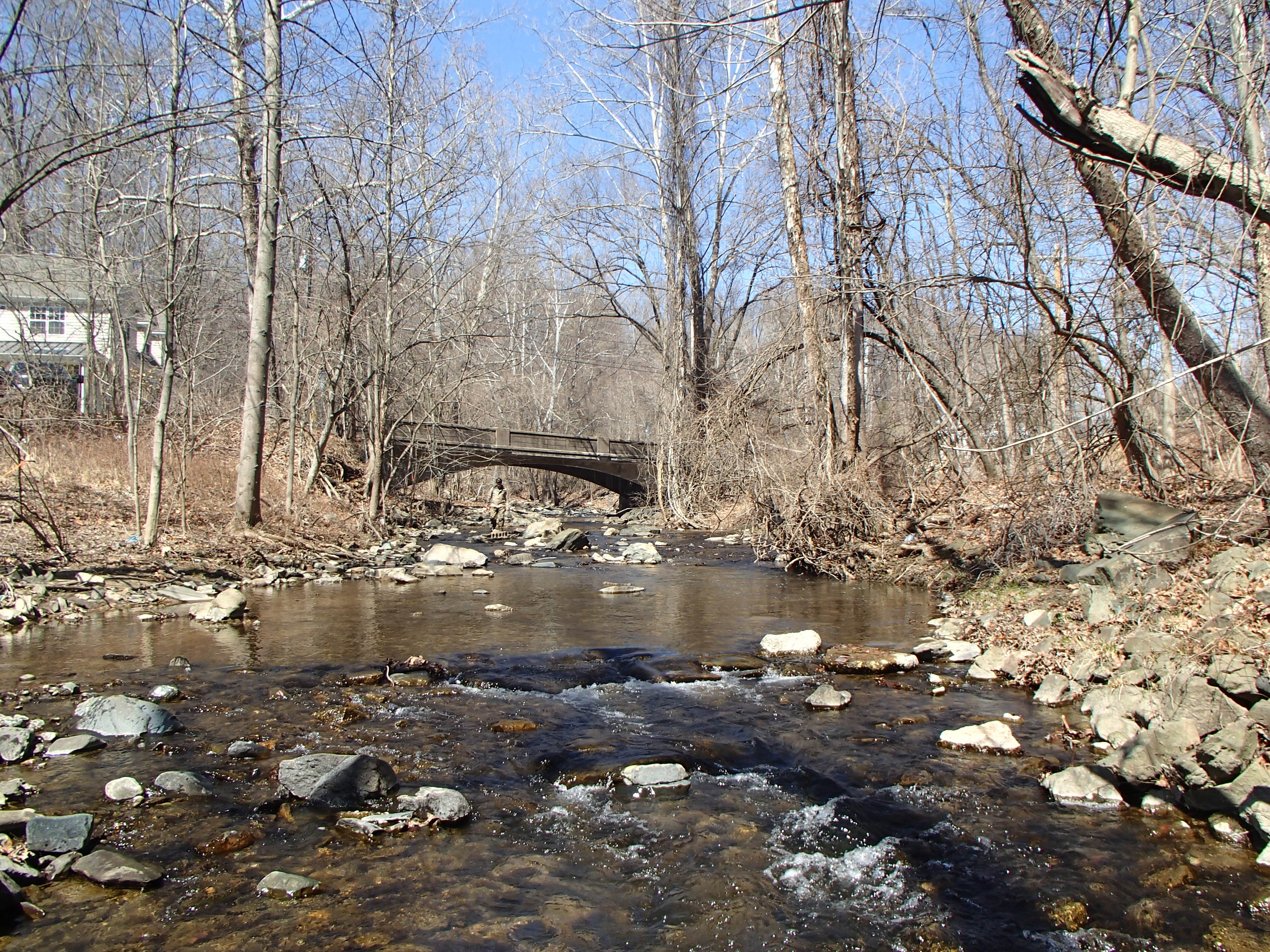 Field photo showing stream conditions at site PATL-209-X-2015_midpoint-looking-upstream