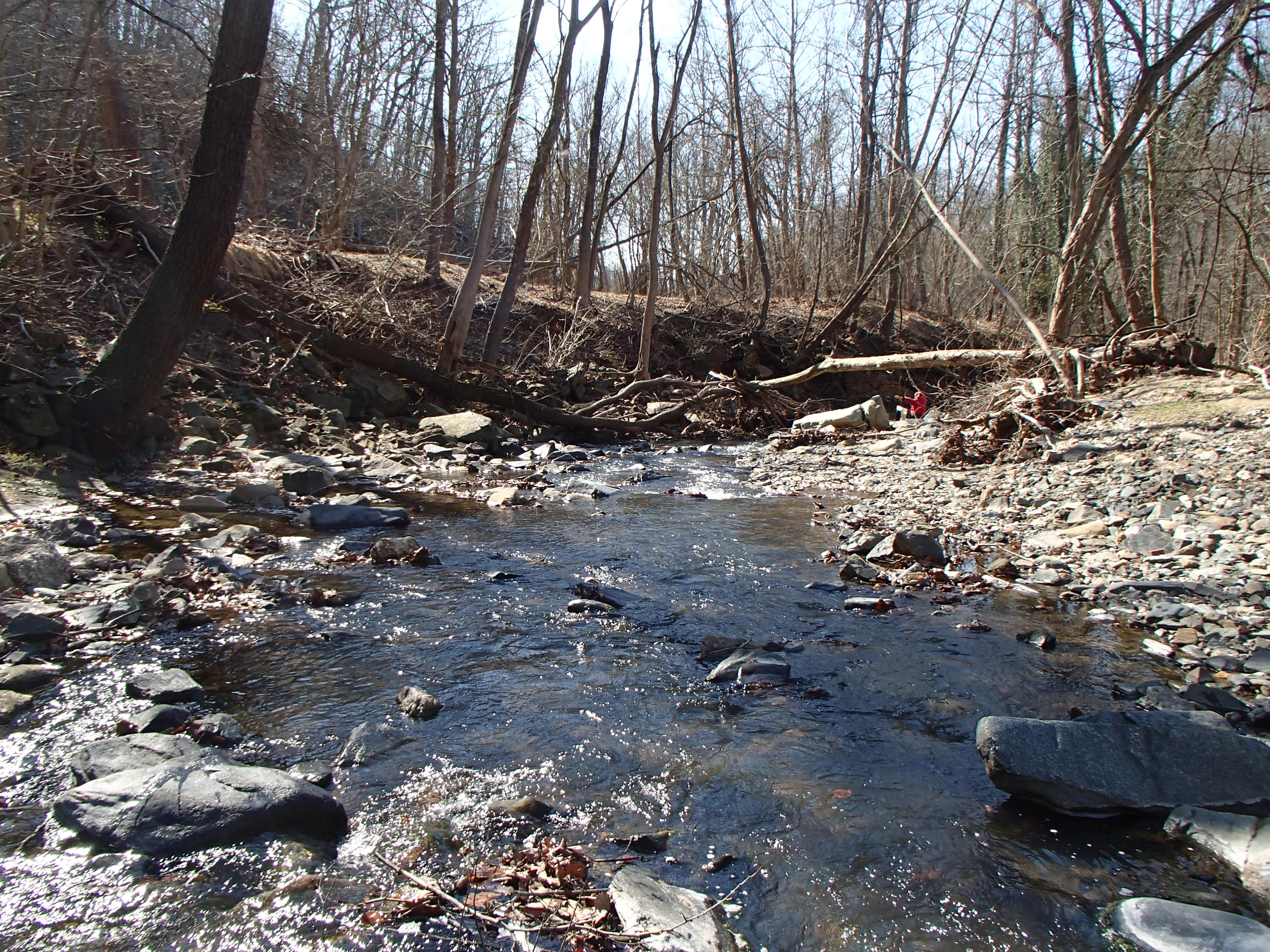 Field photo showing stream conditions at site PATL-209-X-2017-MidpointFacingDownstream