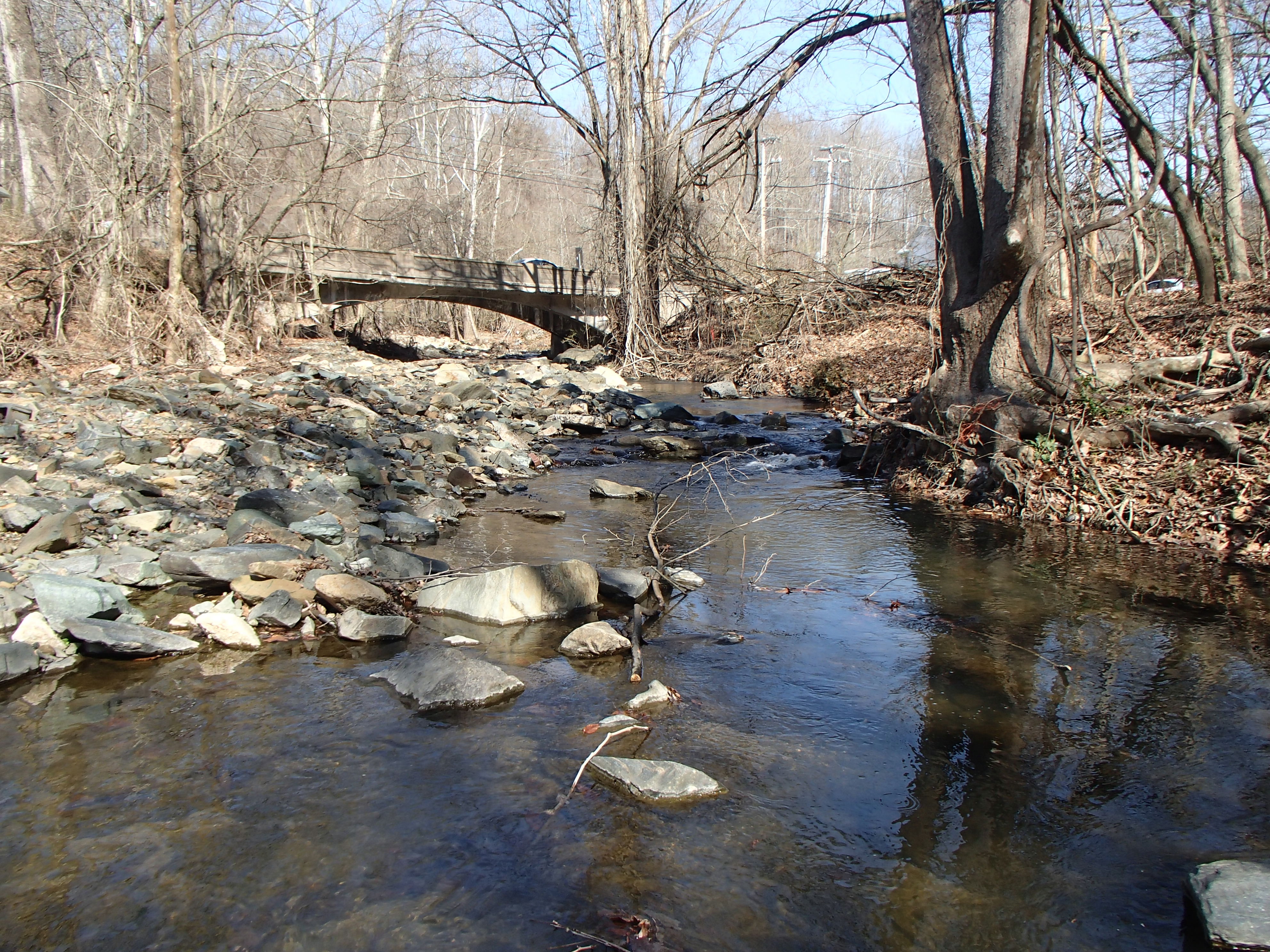 Field photo showing stream conditions at site PATL-209-X-2017-MidpointFacingUpstream