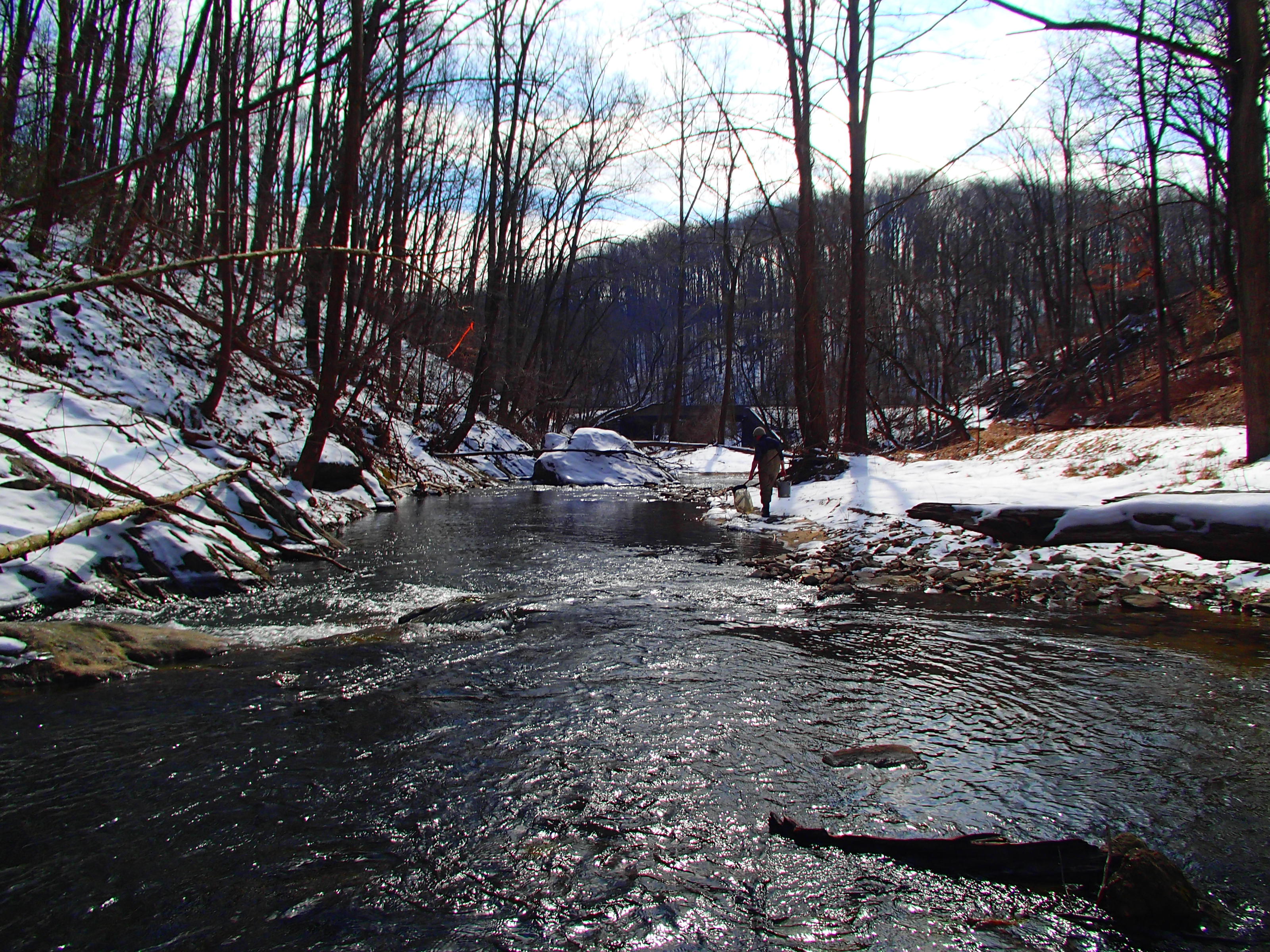 Field photo showing stream conditions at site PATL-213-X-2014-1