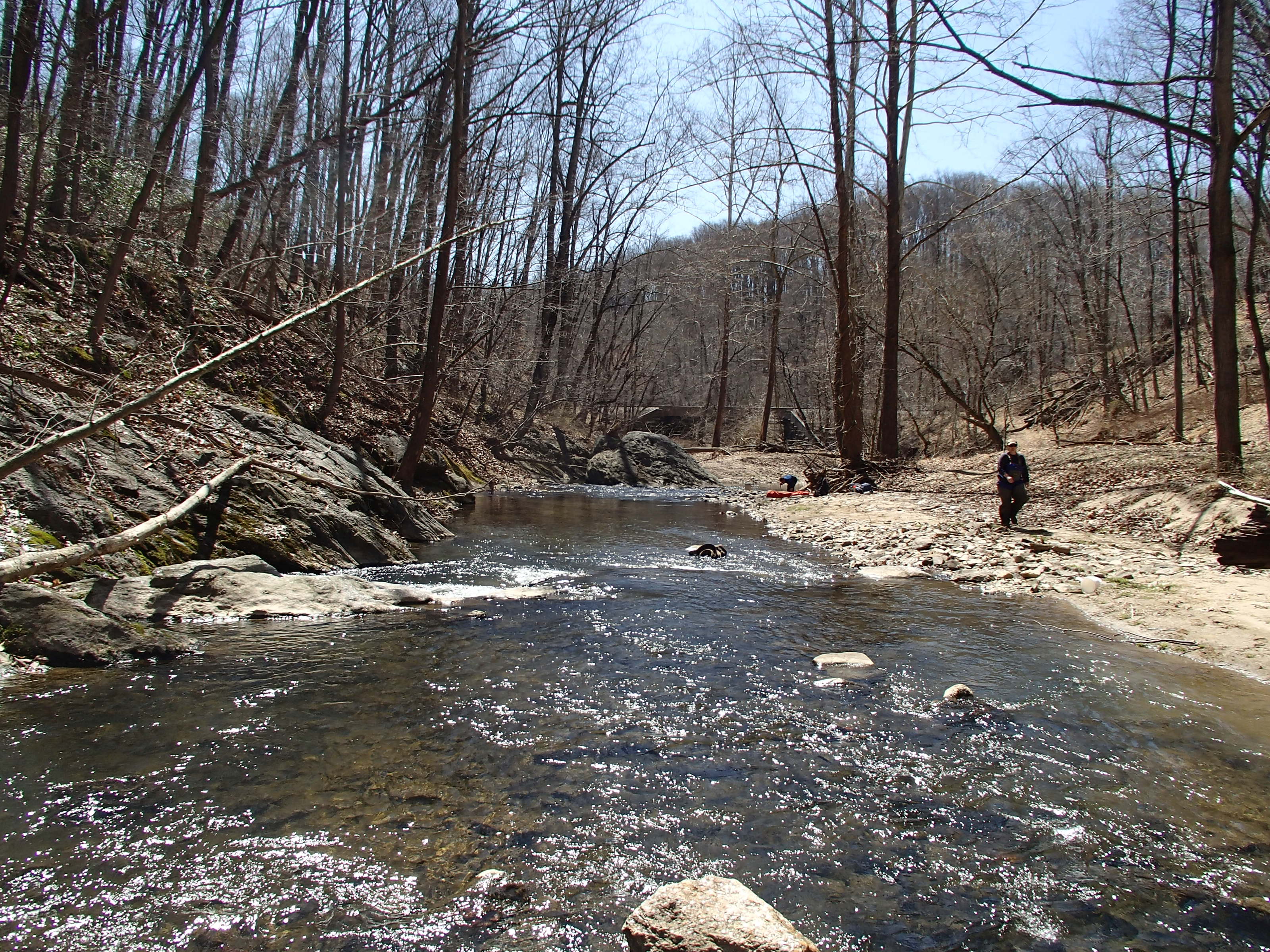 Field photo showing stream conditions at site PATL-213-X-2015_Midpoint-at-P-looking-downstream