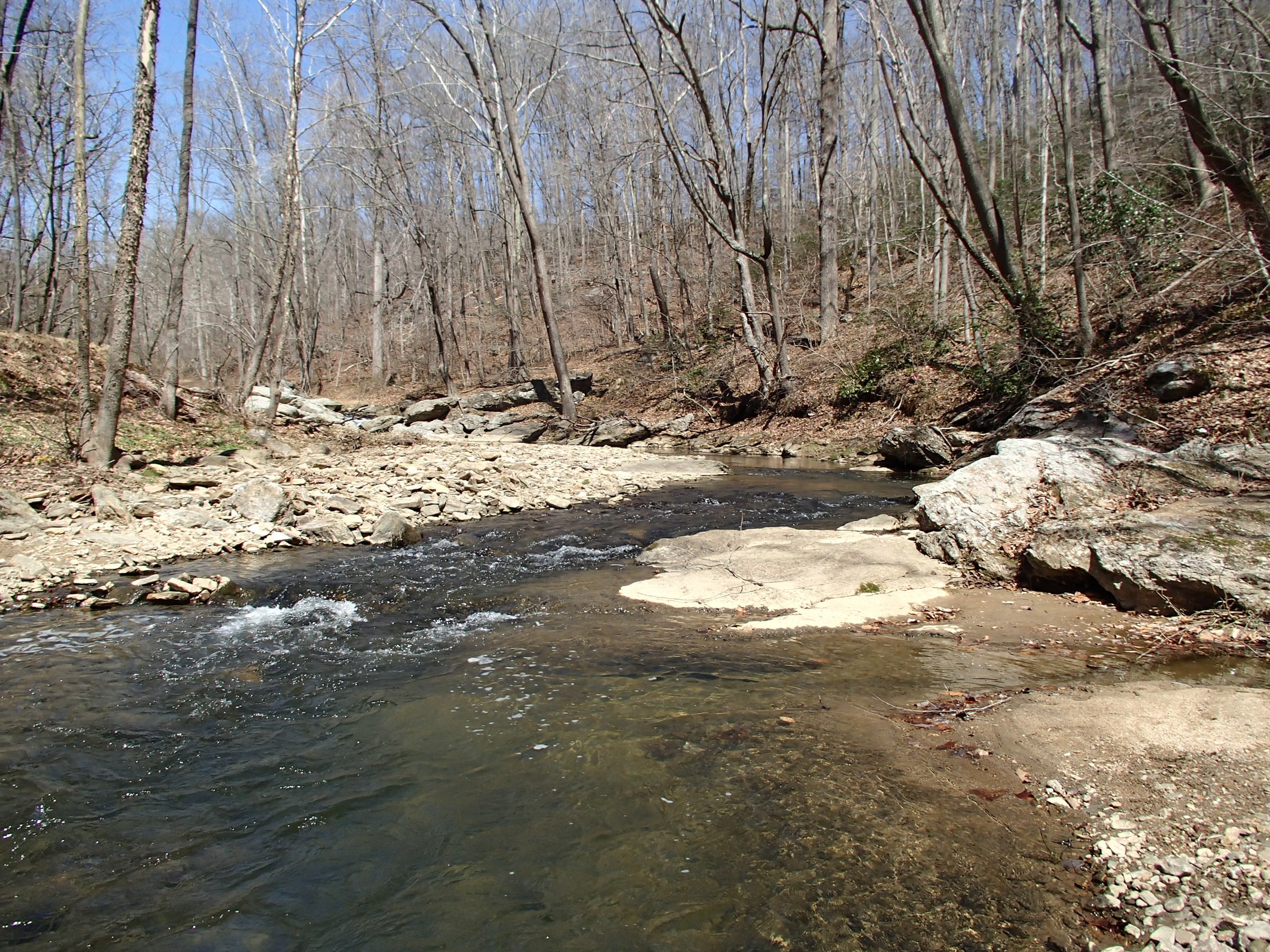 Field photo showing stream conditions at site PATL-213-X-2015_Midpoint-at-P-looking-upstream