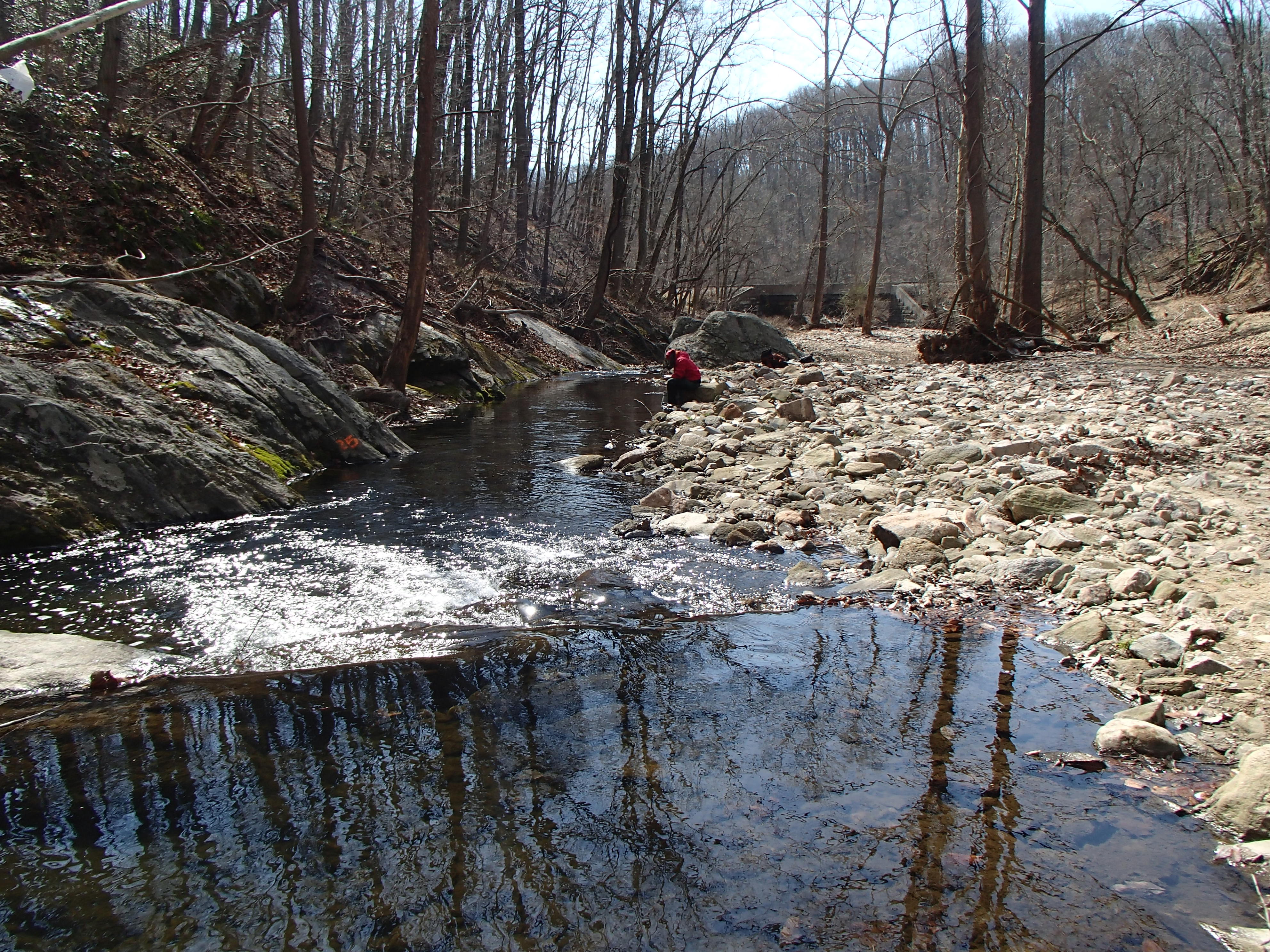 Field photo showing stream conditions at site PATL-213-X-2017-MidpointLookingDownstream