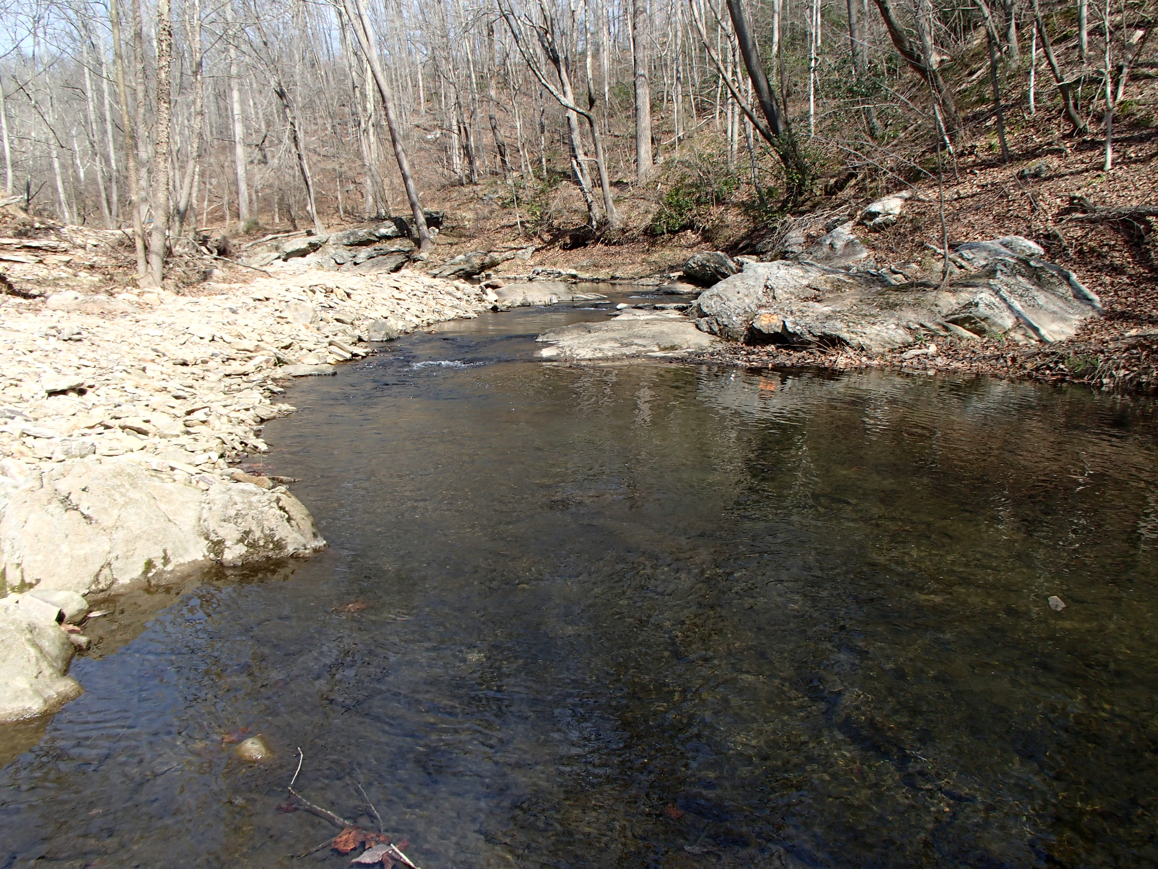 Field photo showing stream conditions at site PATL-213-X-2017-MidpointLookingUpstream
