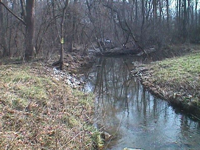 Field photo showing stream conditions at site PATL-222-R-2000-05_15