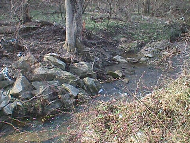 Field photo showing stream conditions at site PATL-222-R-2000-05_16