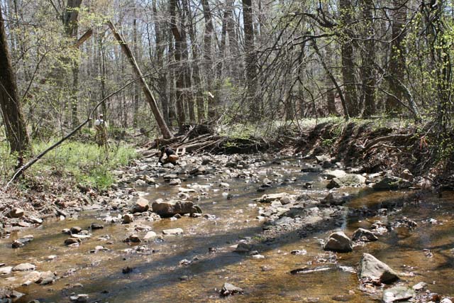 Field photo showing stream conditions at site PATL-288-X-2012_Mid-point_Downstream