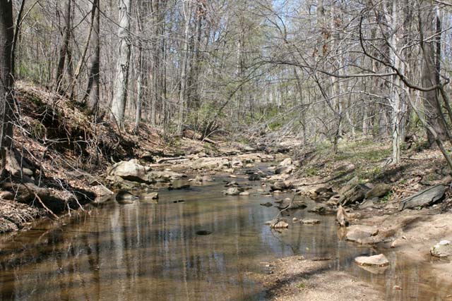 Field photo showing stream conditions at site PATL-288-X-2012_Mid-point_Upstream