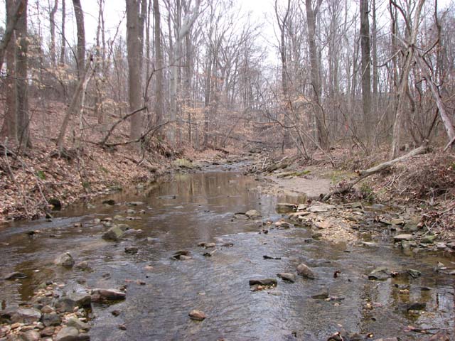 Field photo showing stream conditions at site PATL-288-X-2013-1