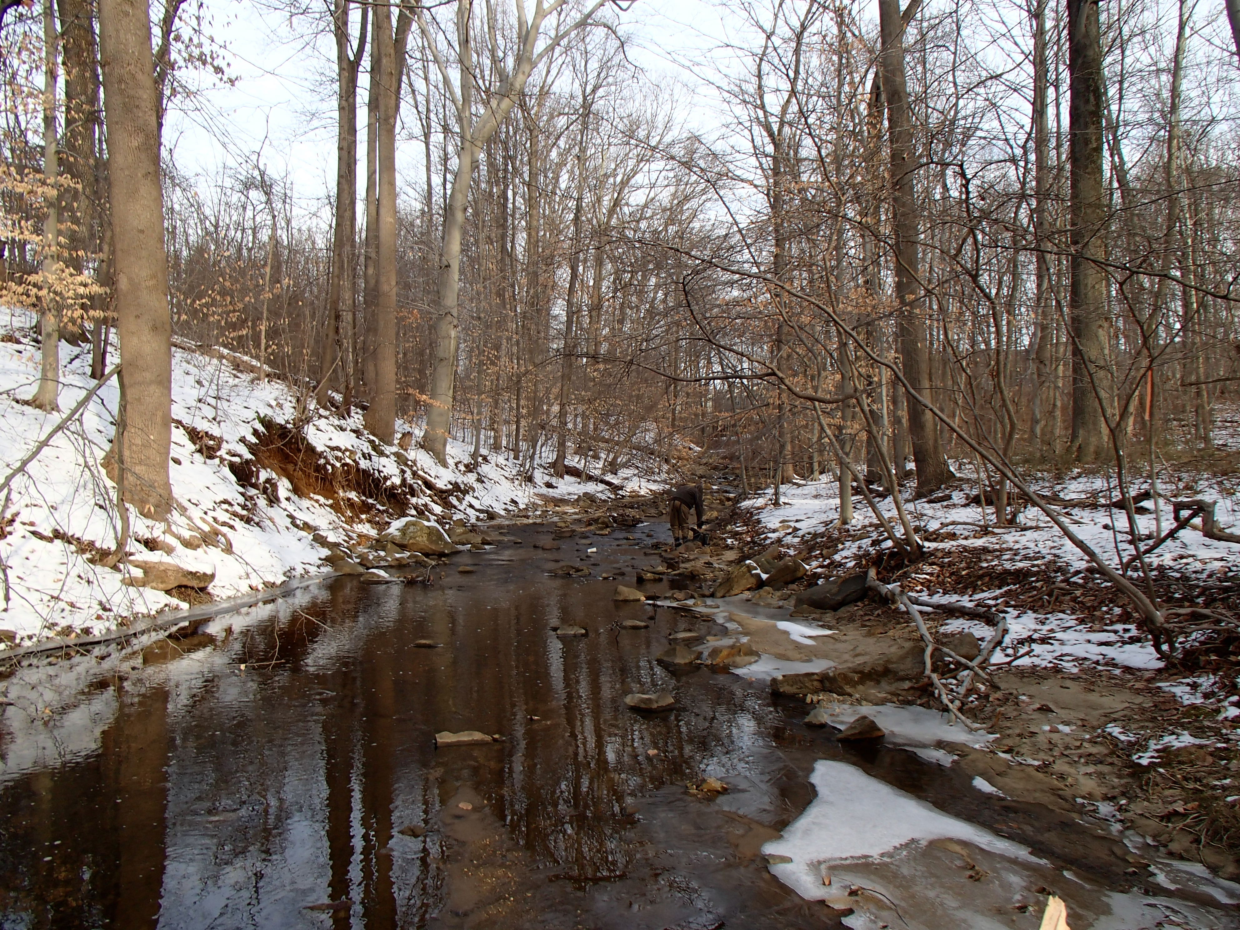 Field photo showing stream conditions at site PATL-288-X-2014-1