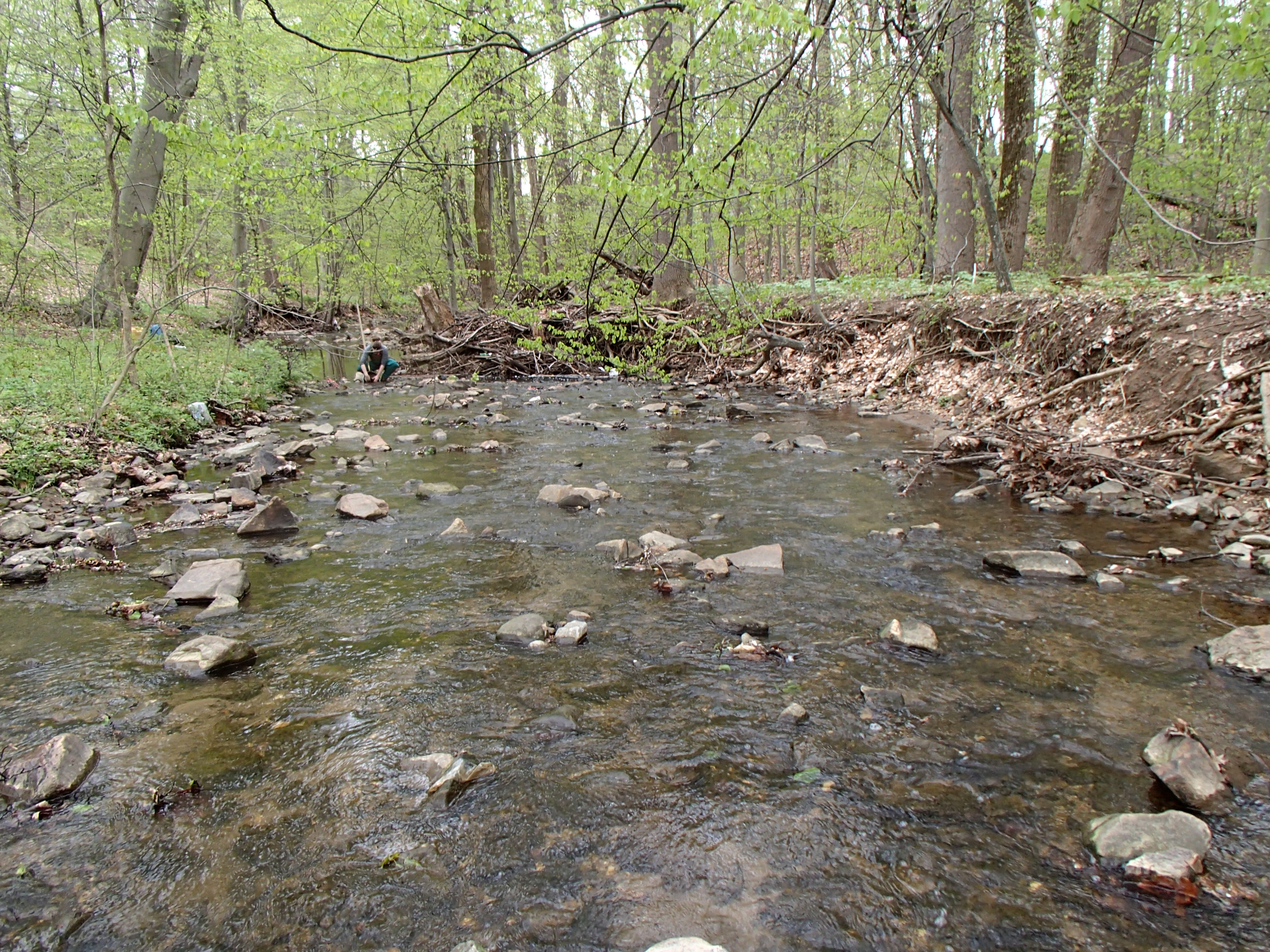 Field photo showing stream conditions at site PATL-288-X-2015_Midpoint-downstream