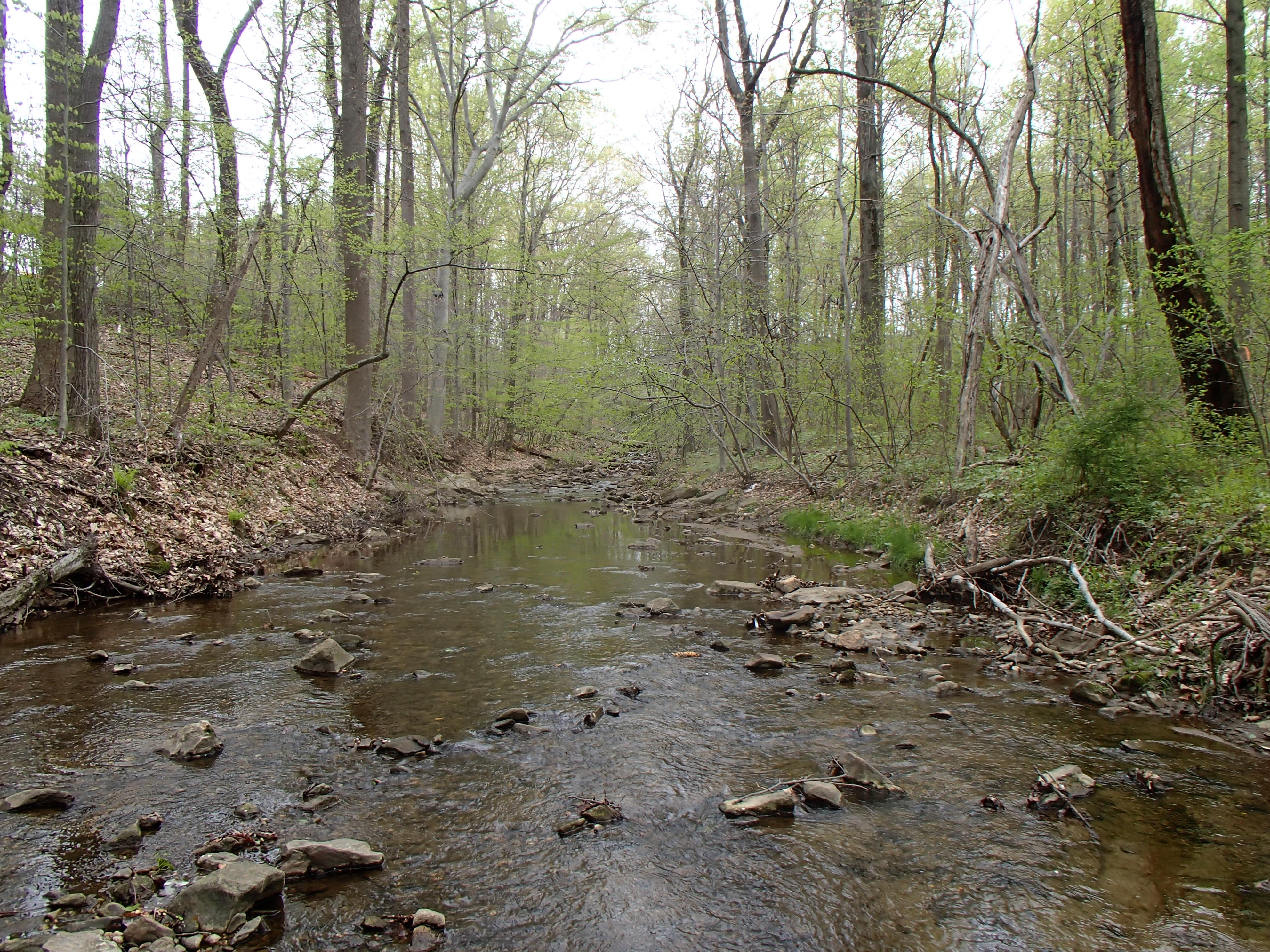 Field photo showing stream conditions at site PATL-288-X-2015_Midpoint-upstream
