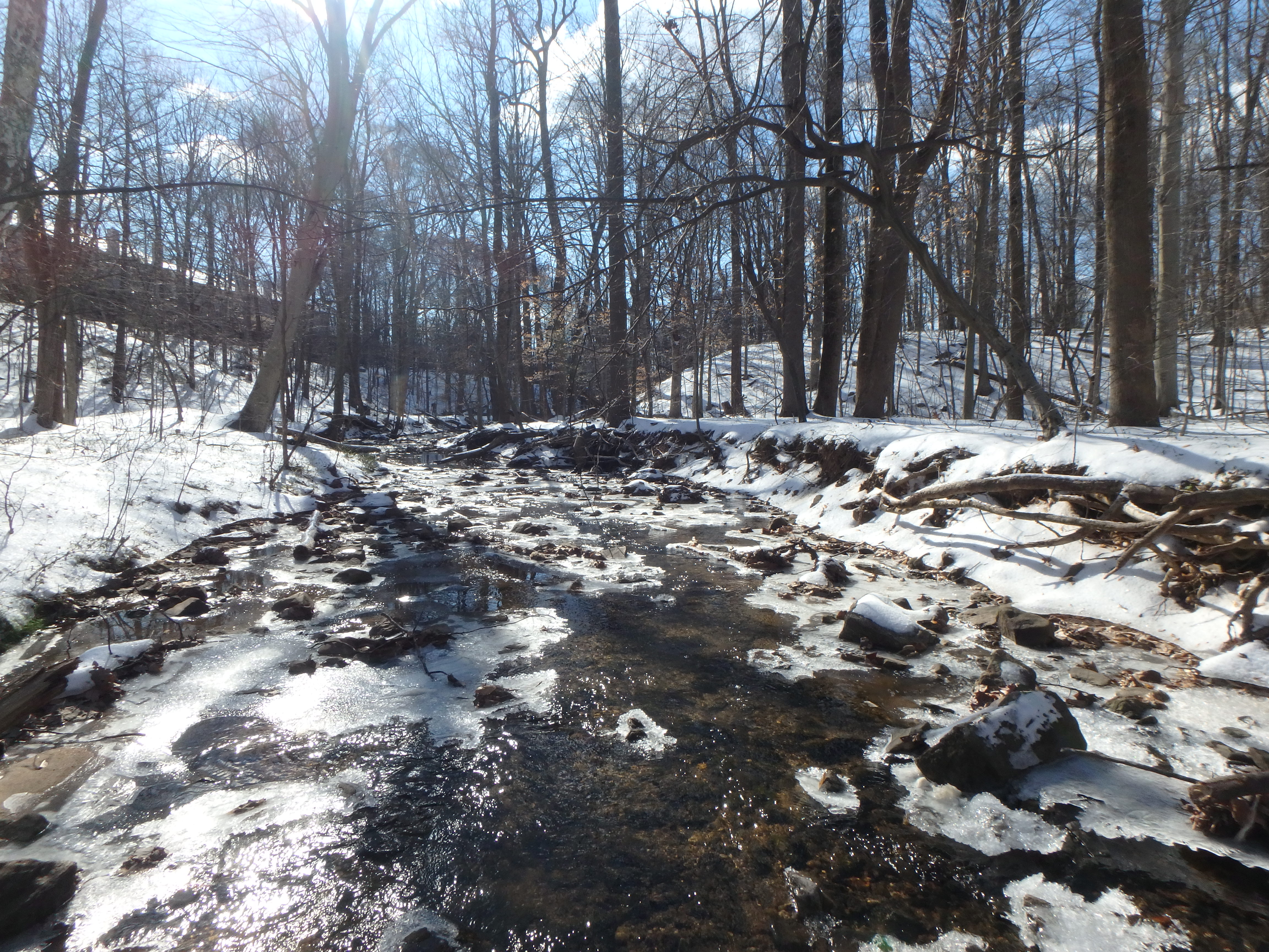 Field photo showing stream conditions at site PATL-288-X-2017-MidpointLookingDownstream