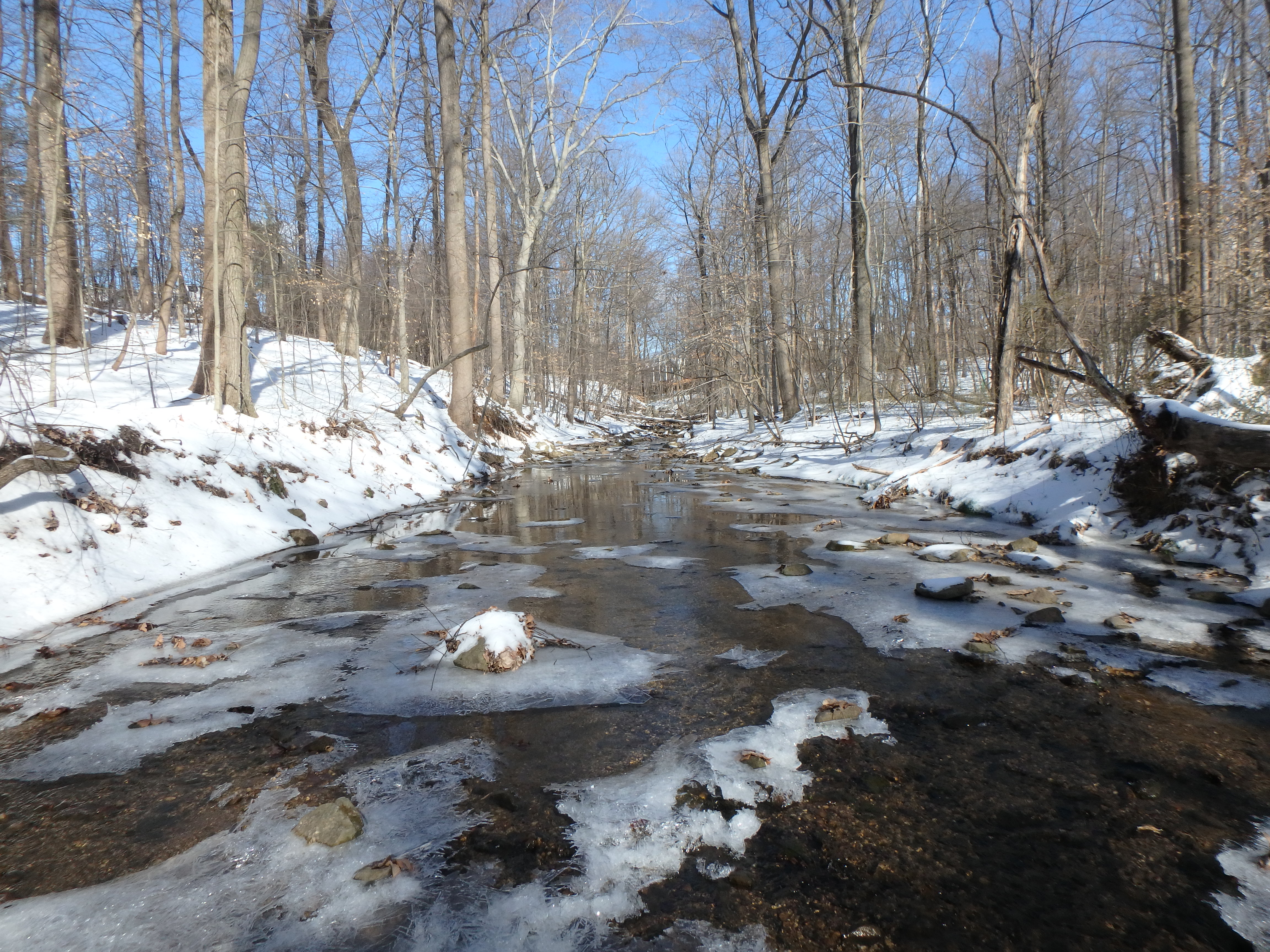 Field photo showing stream conditions at site PATL-288-X-2017-MidpointLookingUpstream