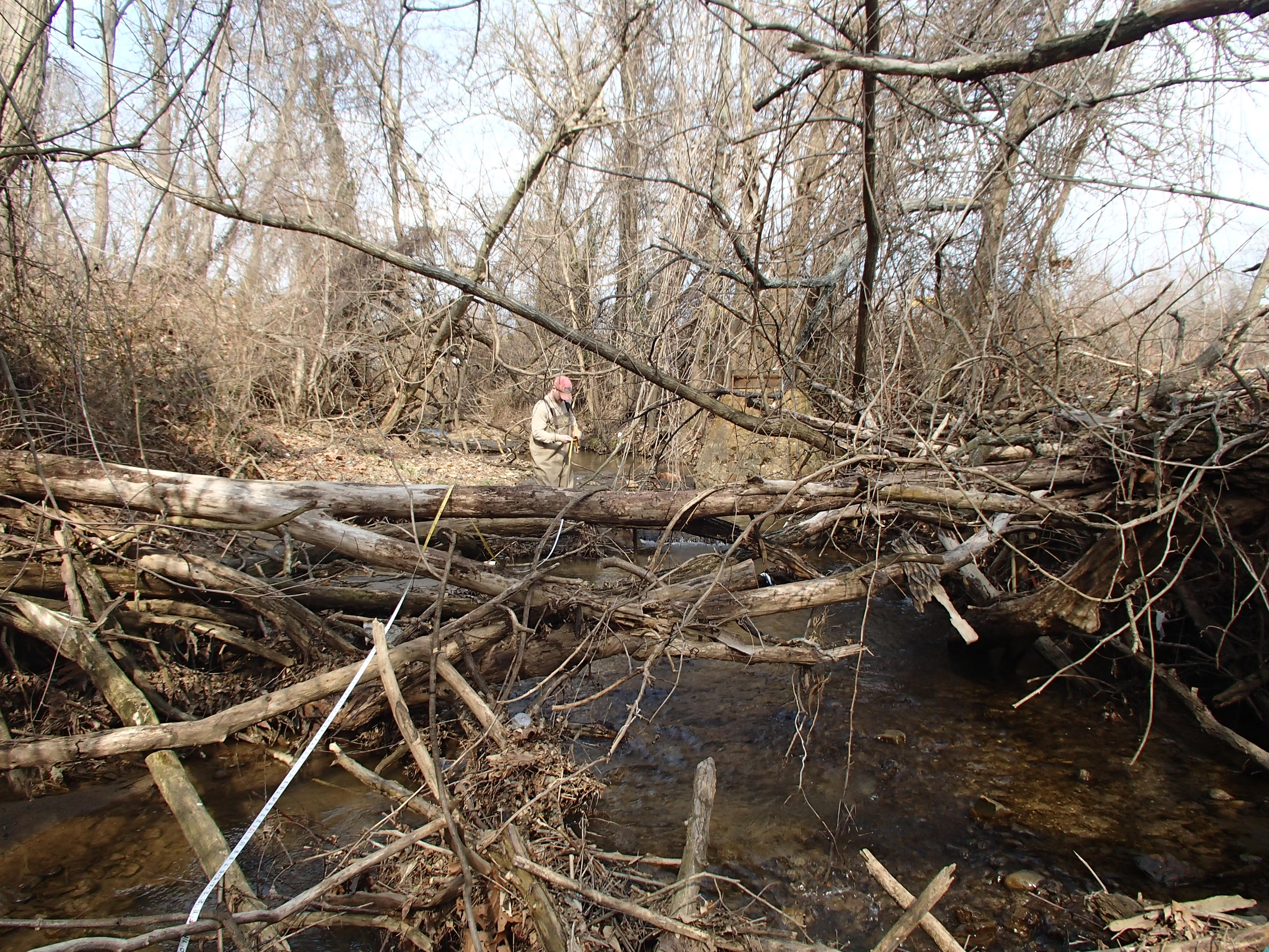 Field photo showing stream conditions at site PATL-301-R-2015_midpoint-looking-upstream