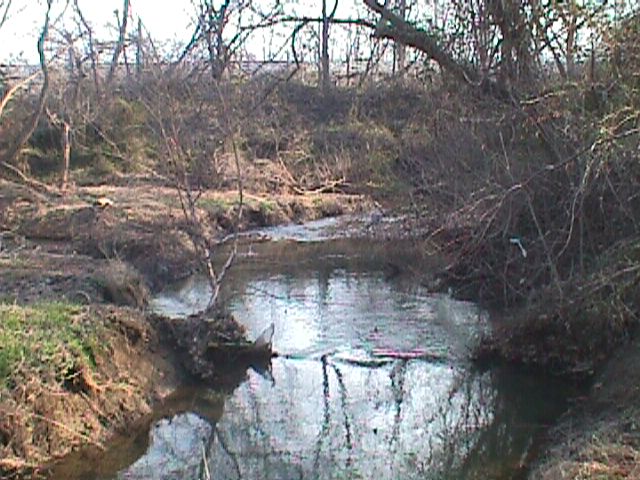Field photo showing stream conditions at site PATL-317-R-2000-07_04