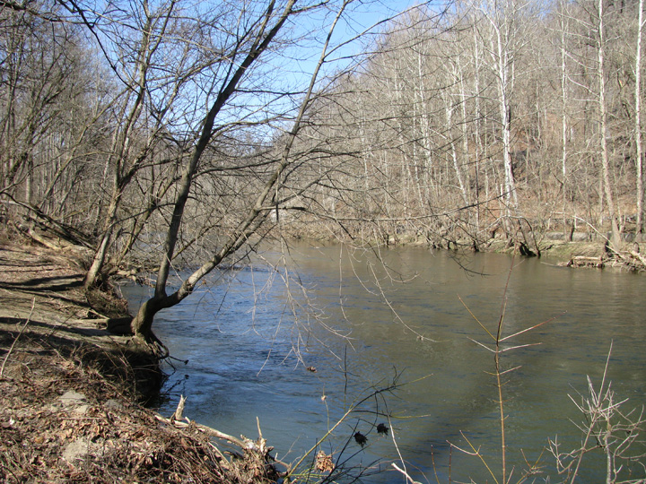 Field photo showing stream conditions at site PATL-501-X-2010-2