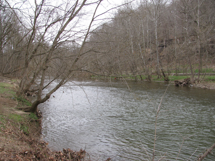 Field photo showing stream conditions at site PATL-501-X-2011-1