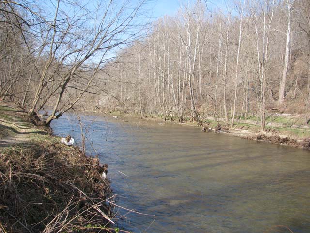 Field photo showing stream conditions at site PATL-501-X-2012-1