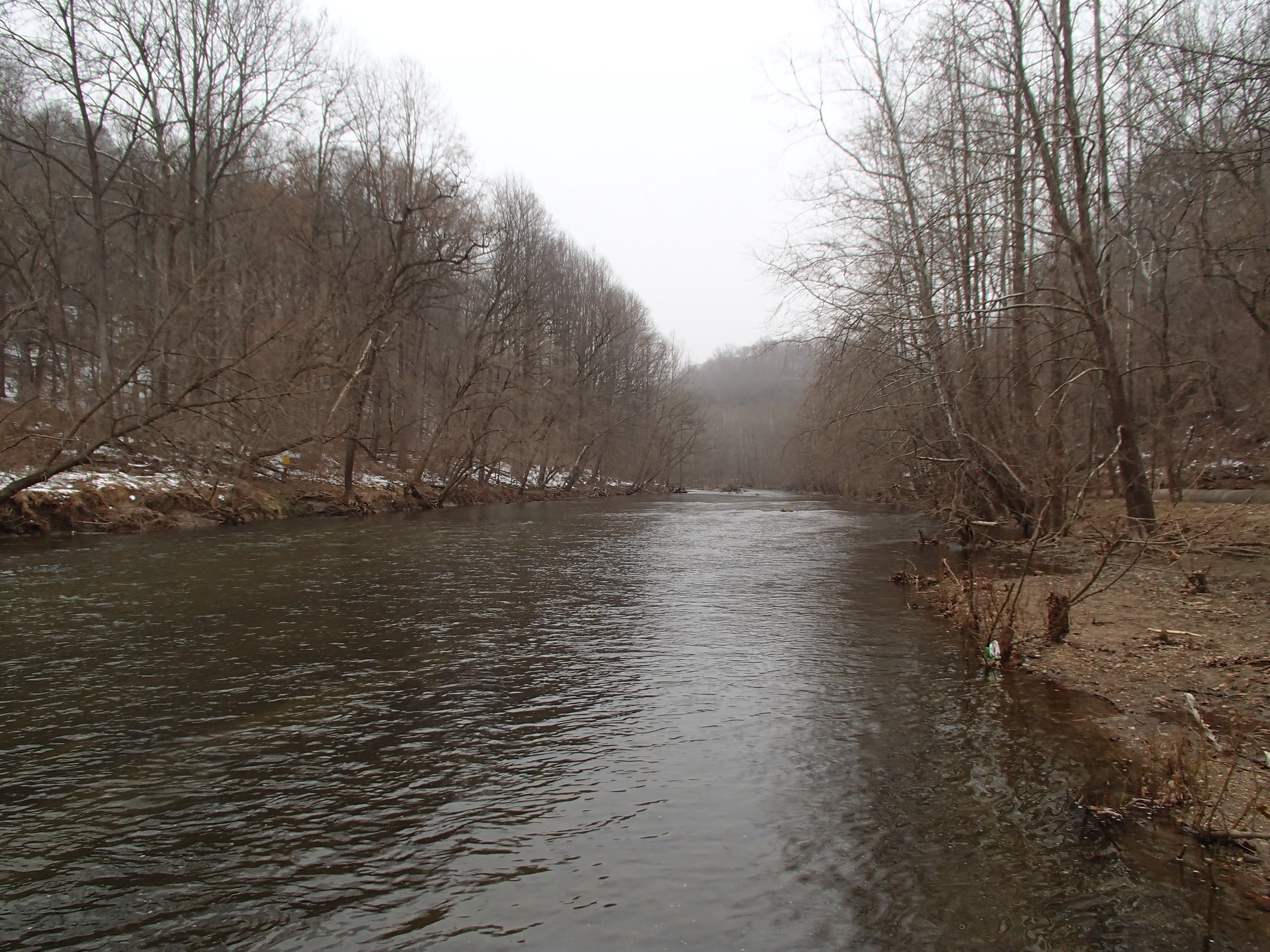 Field photo showing stream conditions at site PATL-501-X-2014-1