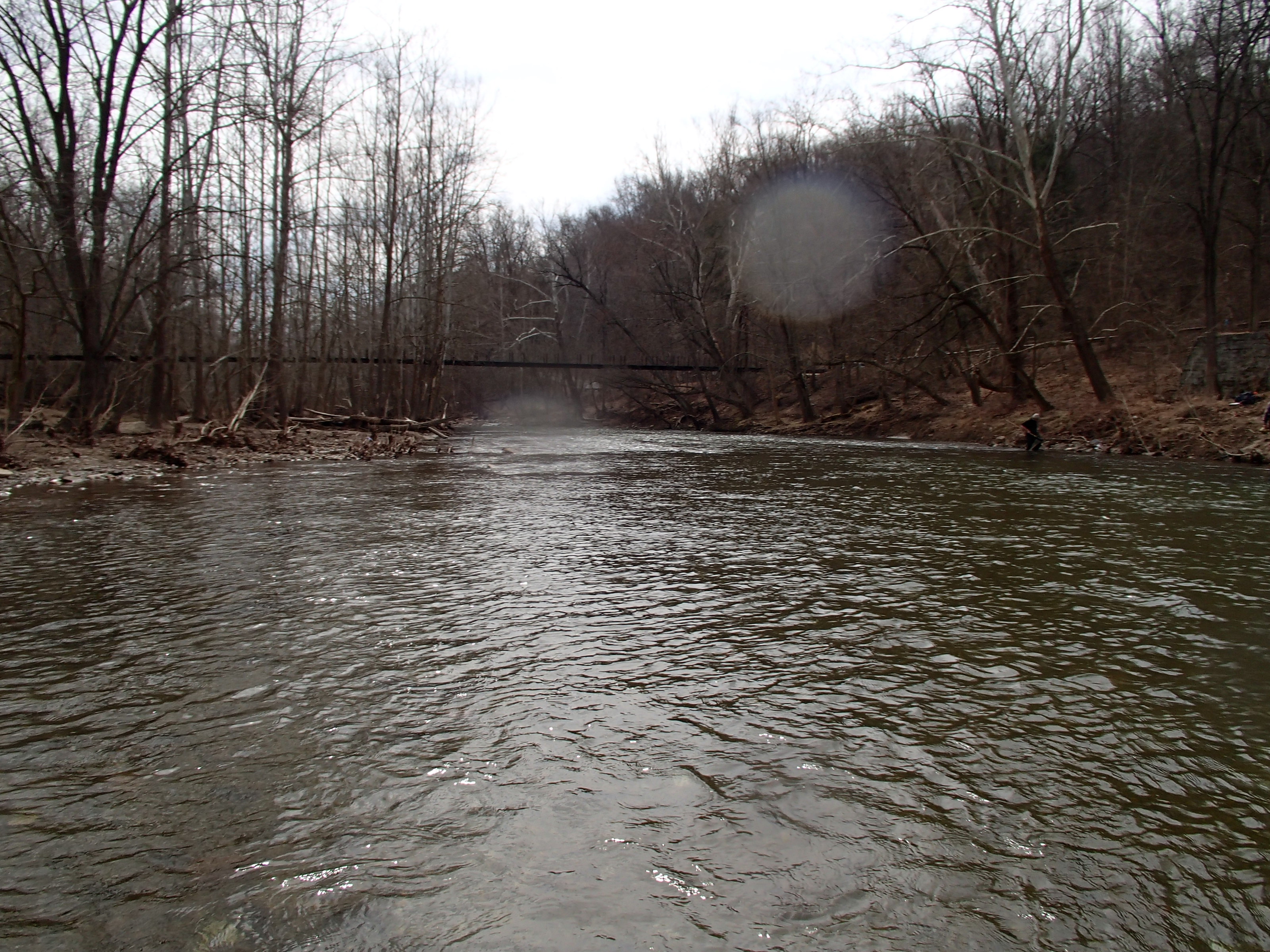 Field photo showing stream conditions at site PATL-501-X-2015_midpoint-at-P-looking-downstream