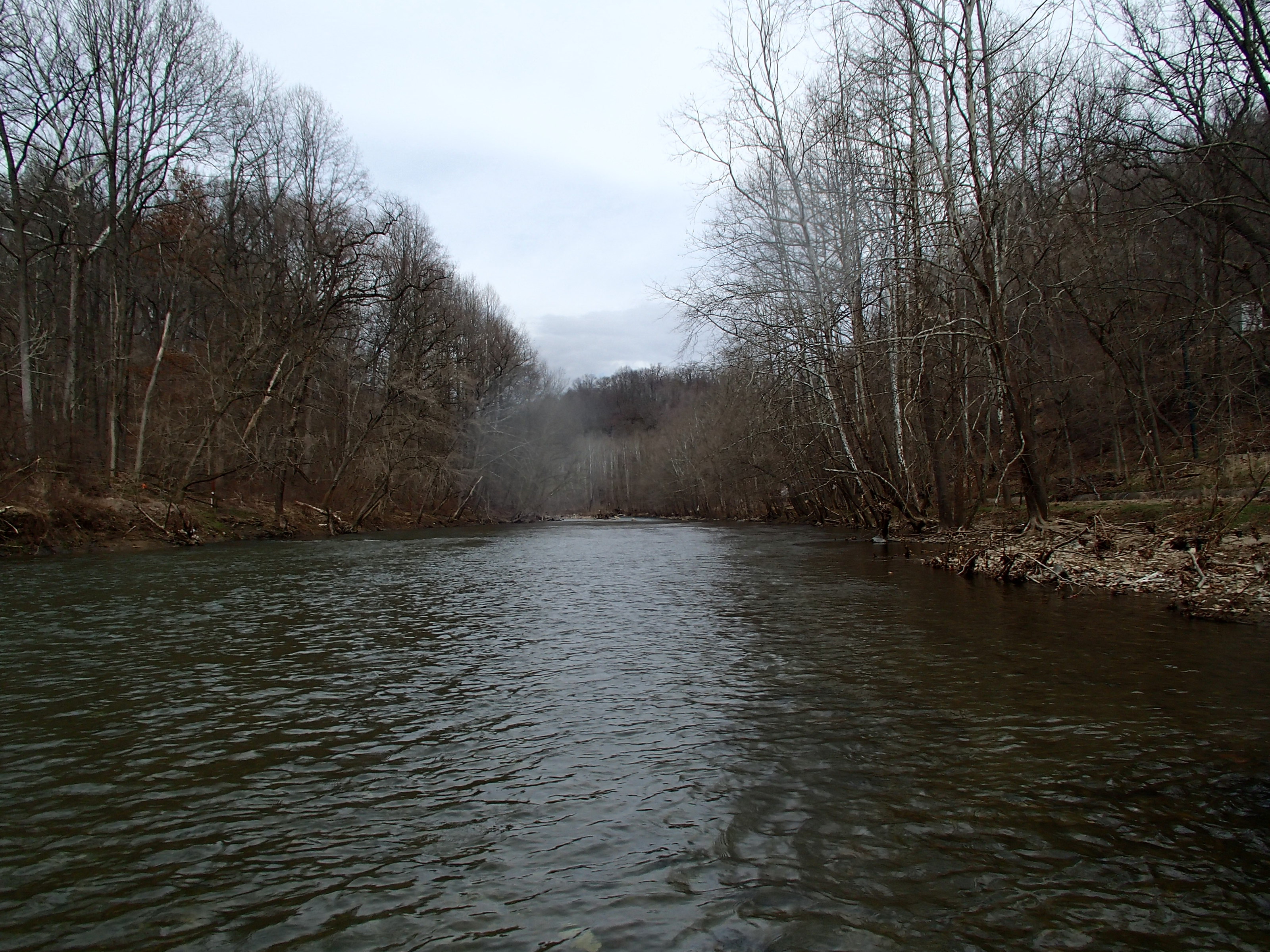 Field photo showing stream conditions at site PATL-501-X-2015_midpoint-at-P-looking-upstream