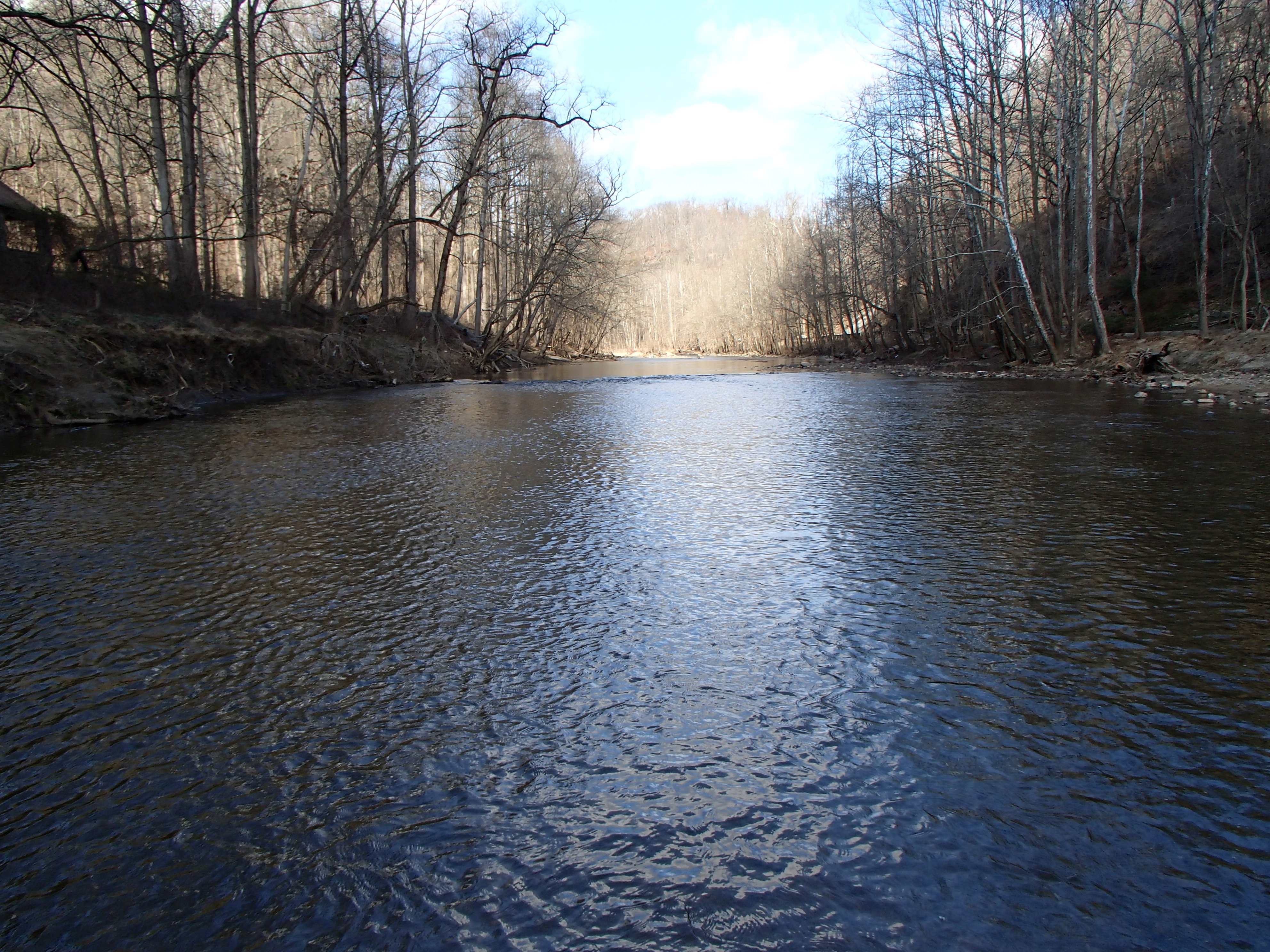 Field photo showing stream conditions at site PATL-501-X-2017-MidpointLookingUpstream