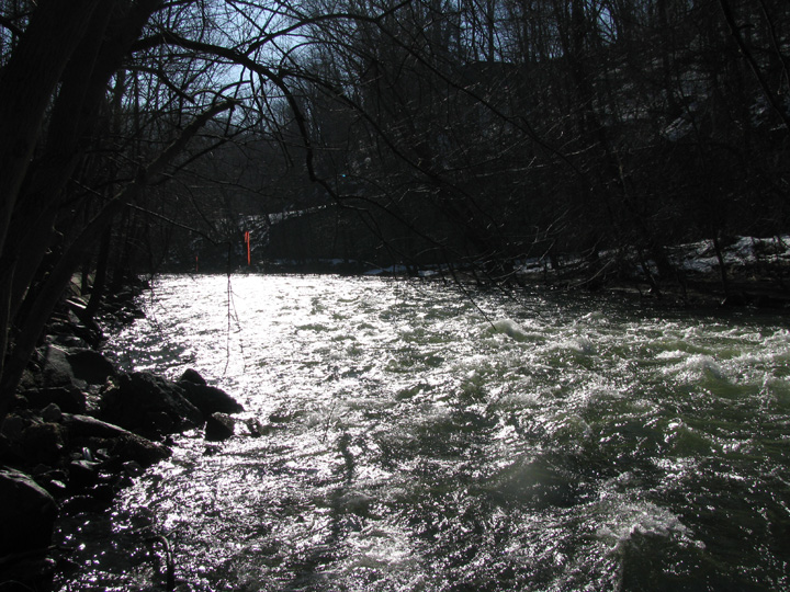 Field photo showing stream conditions at site PATL-502-X-2010-1