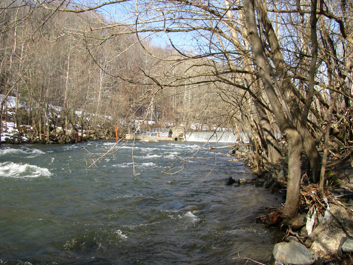 Field photo showing stream conditions at site PATL-502-X-2010-2