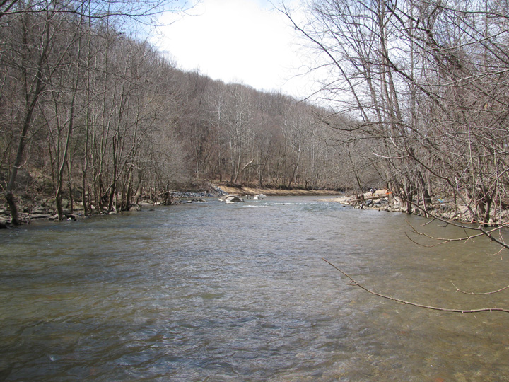 Field photo showing stream conditions at site PATL-502-X-2011-1