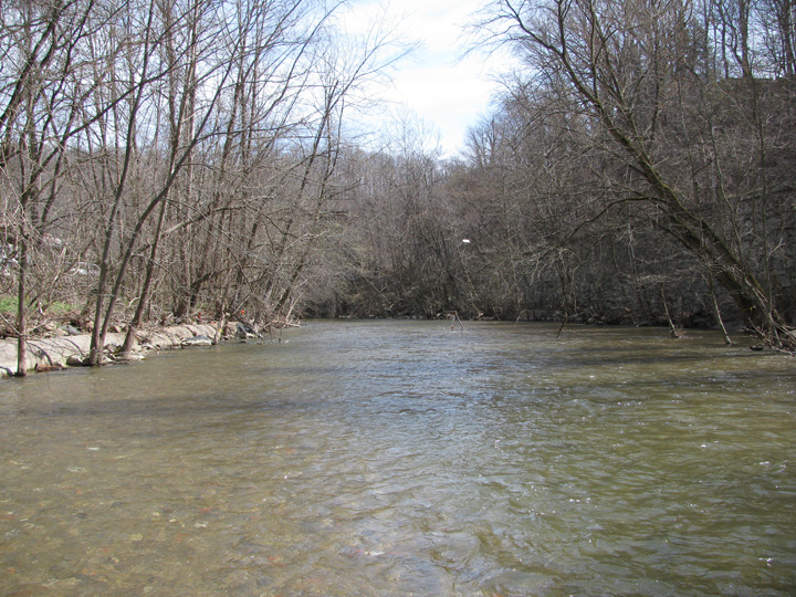 Field photo showing stream conditions at site PATL-502-X-2011-2