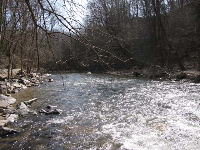 Field photo showing stream conditions at site PATL-502-X-2012-2