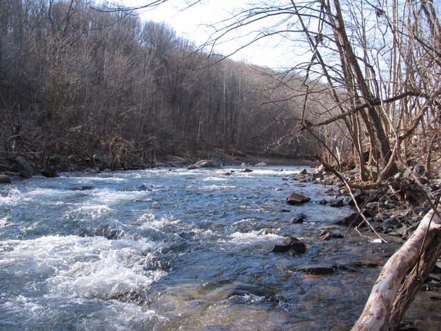 Field photo showing stream conditions at site PATL-502-X-2013-1