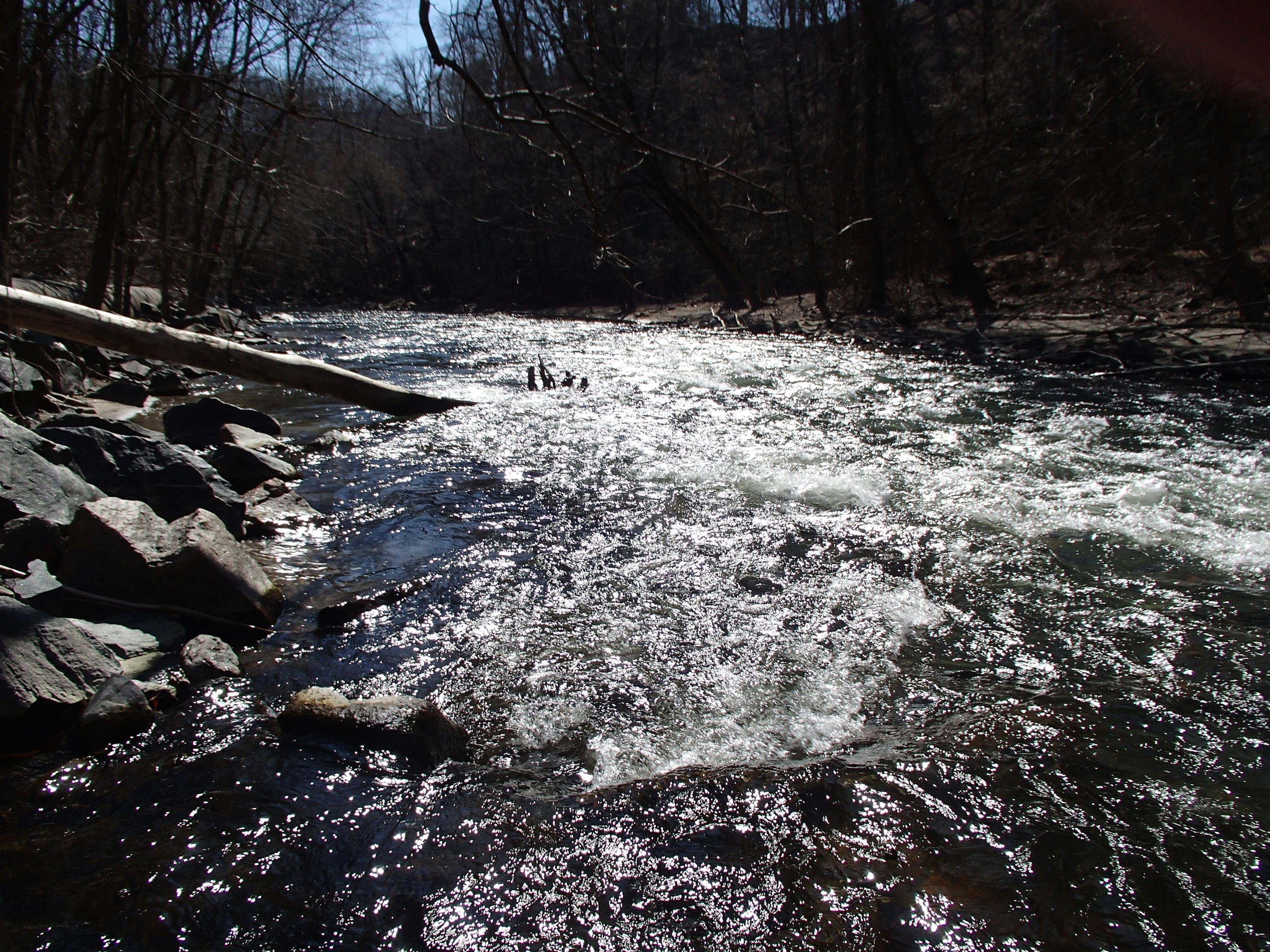 Field photo showing stream conditions at site PATL-502-X-2014-2