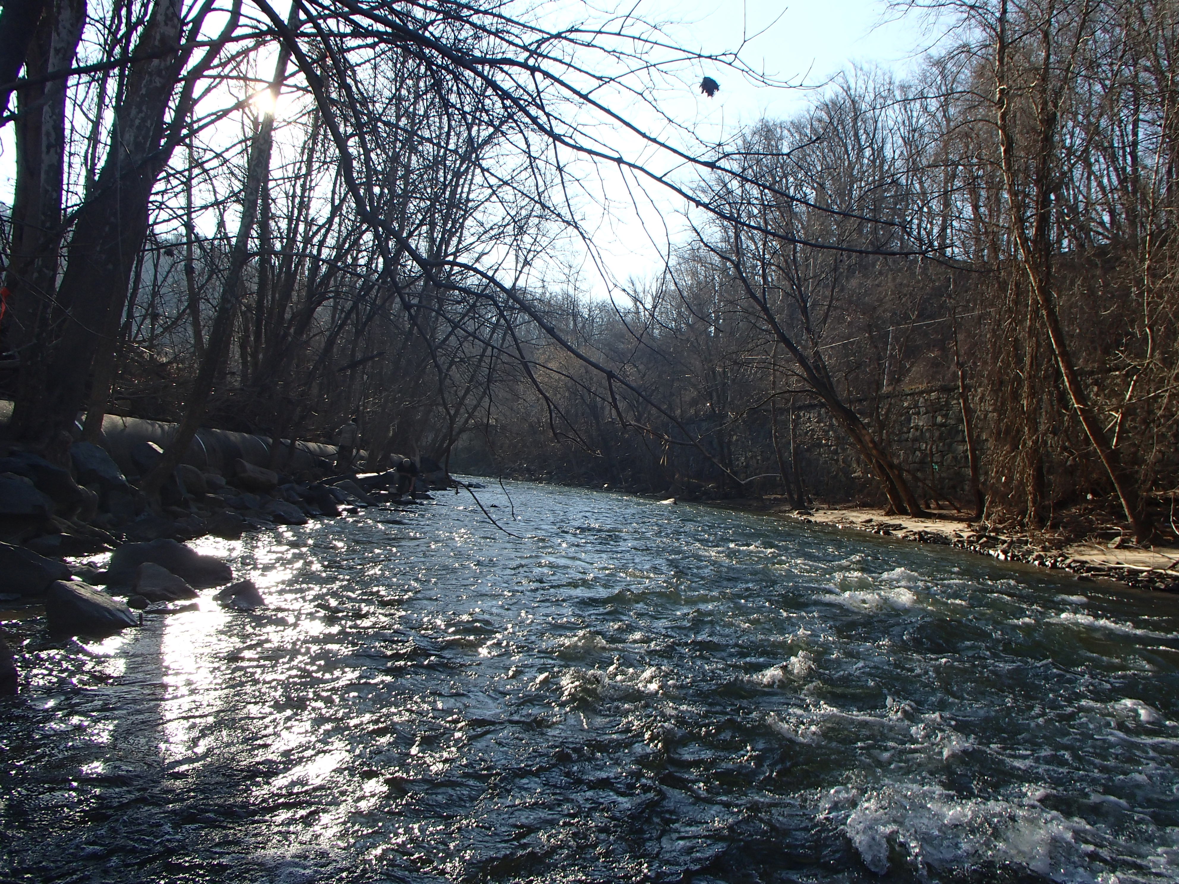 Field photo showing stream conditions at site PATL-502-X-2015_at-P-mark-looking-downstream